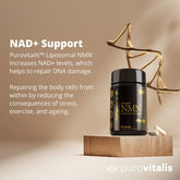 Liposomal NMN, 60 Vegan Capsules- Purovitalis - GREEN LIFE CYPRUS